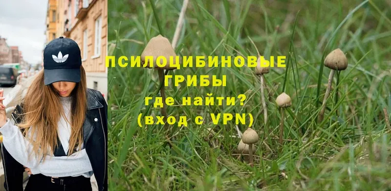 Галлюциногенные грибы MAGIC MUSHROOMS  omg зеркало  Черкесск  наркота 